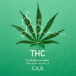 THC-vs-THCP_-Whats-the-difference