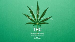 THC-vs-THCP_-Whats-the-difference