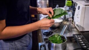 kratom bars