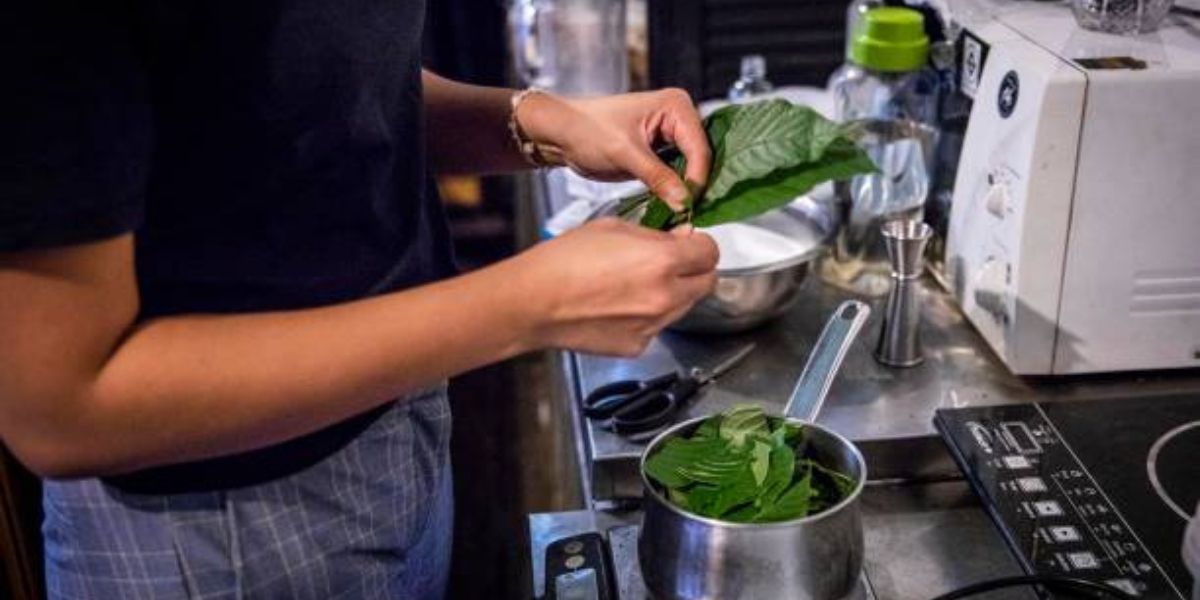 kratom bars