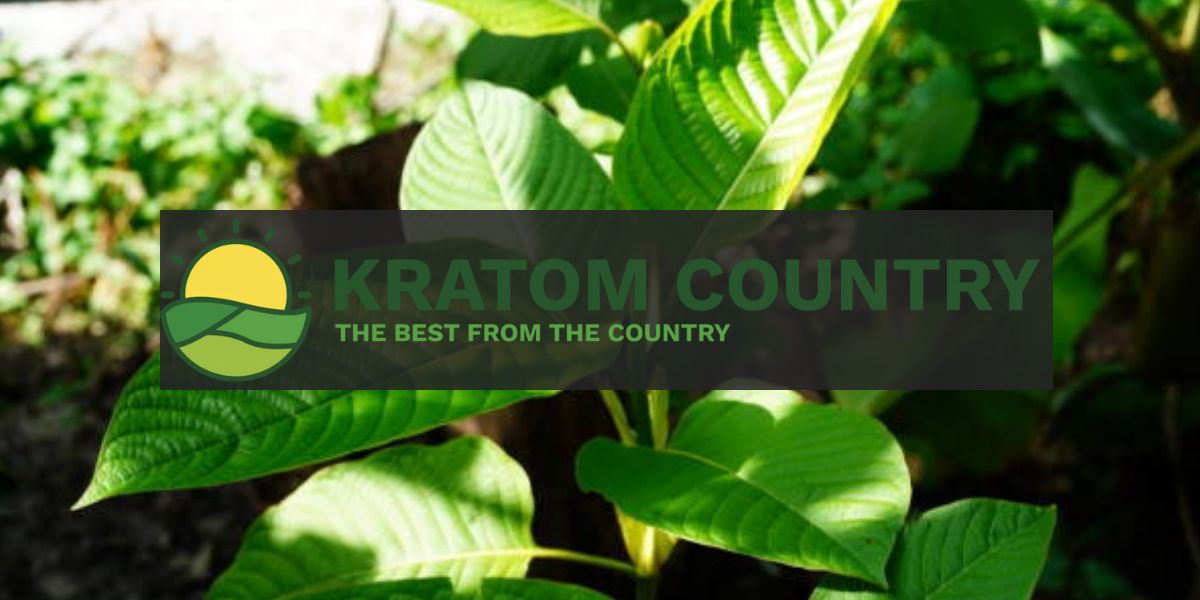 kratom country review