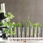 read kratom lab test report