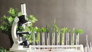 read kratom lab test report