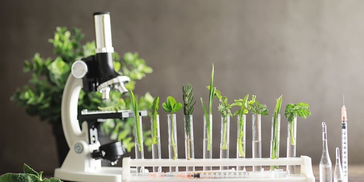 read kratom lab test report