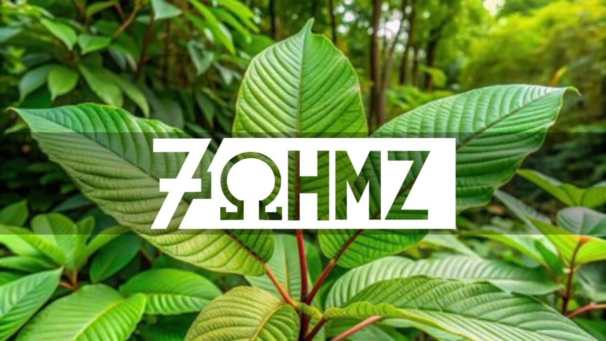 7ohmz review