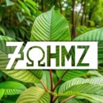 7ohmz review