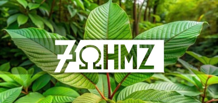 7ohmz review