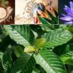 kratom alternatives