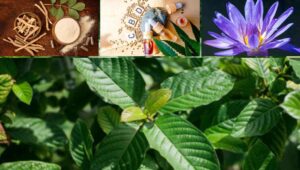 kratom alternatives