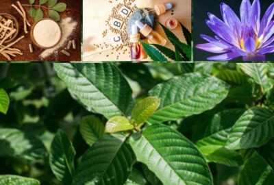 kratom alternatives
