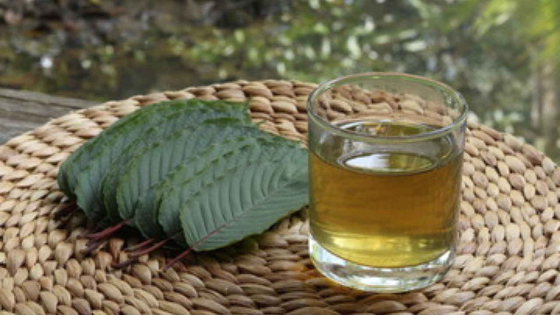 water soluble kratom