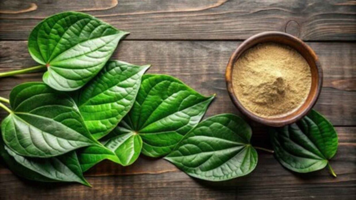 buy kratom in usa