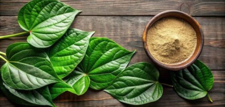 buy kratom in usa