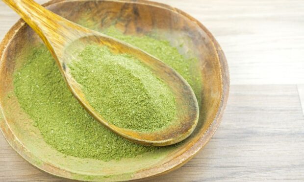Dragon's Den Kratom